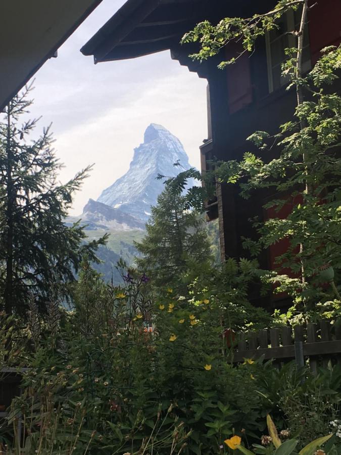 Mountain Apartments Zermatt Nr 6 Екстериор снимка